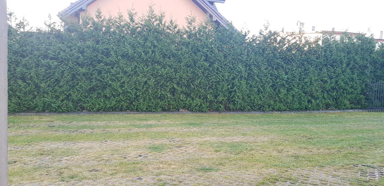 Pokoje Goscinne Pryzmat Wladyslawowo Exterior foto